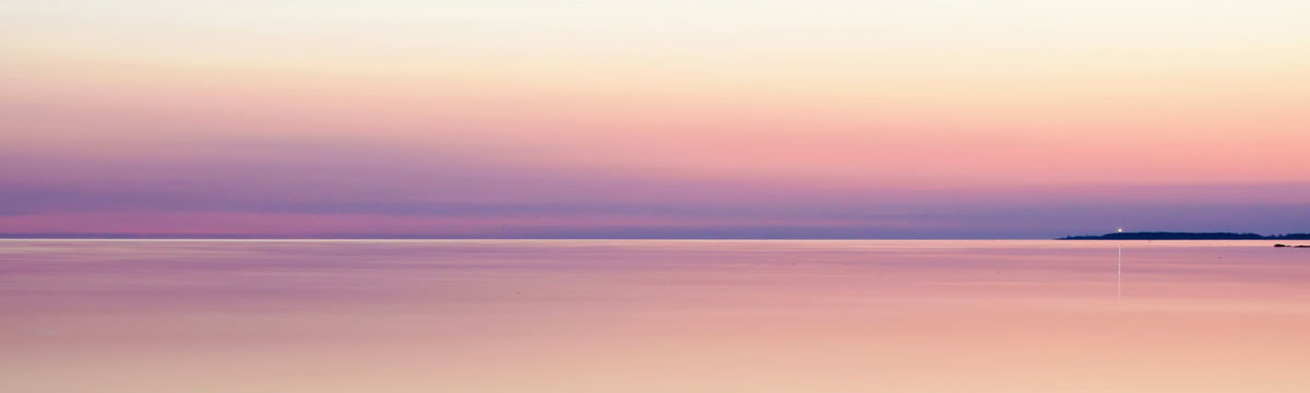 banner image